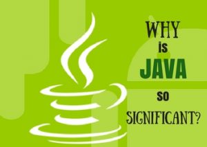 why is Java so significant?